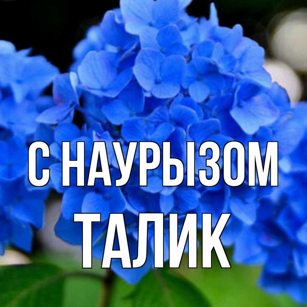 Открытка на каждый день с именем, Талик С наурызом синие цветы Прикольная открытка с пожеланием онлайн скачать бесплатно 