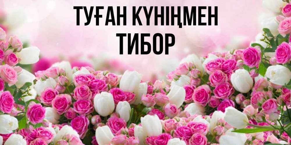 Открытка на каждый день с именем, Тибор Туған күніңмен открытка с разными розами Прикольная открытка с пожеланием онлайн скачать бесплатно 