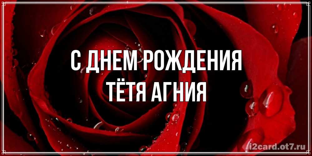 Открытка на каждый день с именем, Тётя-Агния С днем рождения крупная бордовая роза Прикольная открытка с пожеланием онлайн скачать бесплатно 