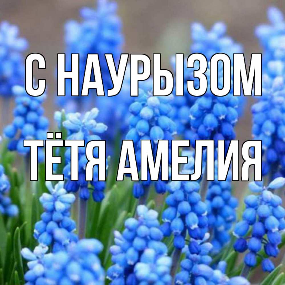 Открытка на каждый день с именем, Тётя-Амелия С наурызом Поздравительная открытка для женщин с цветами на праздничную дату Прикольная открытка с пожеланием онлайн скачать бесплатно 
