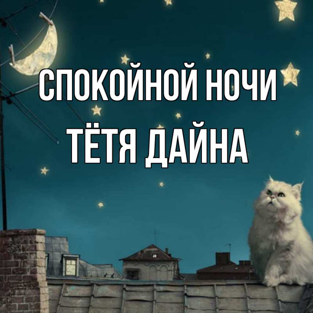 Открытка на каждый день с именем, Тётя-Дайна Спокойной ночи белый кот сидит на крыше Прикольная открытка с пожеланием онлайн скачать бесплатно 