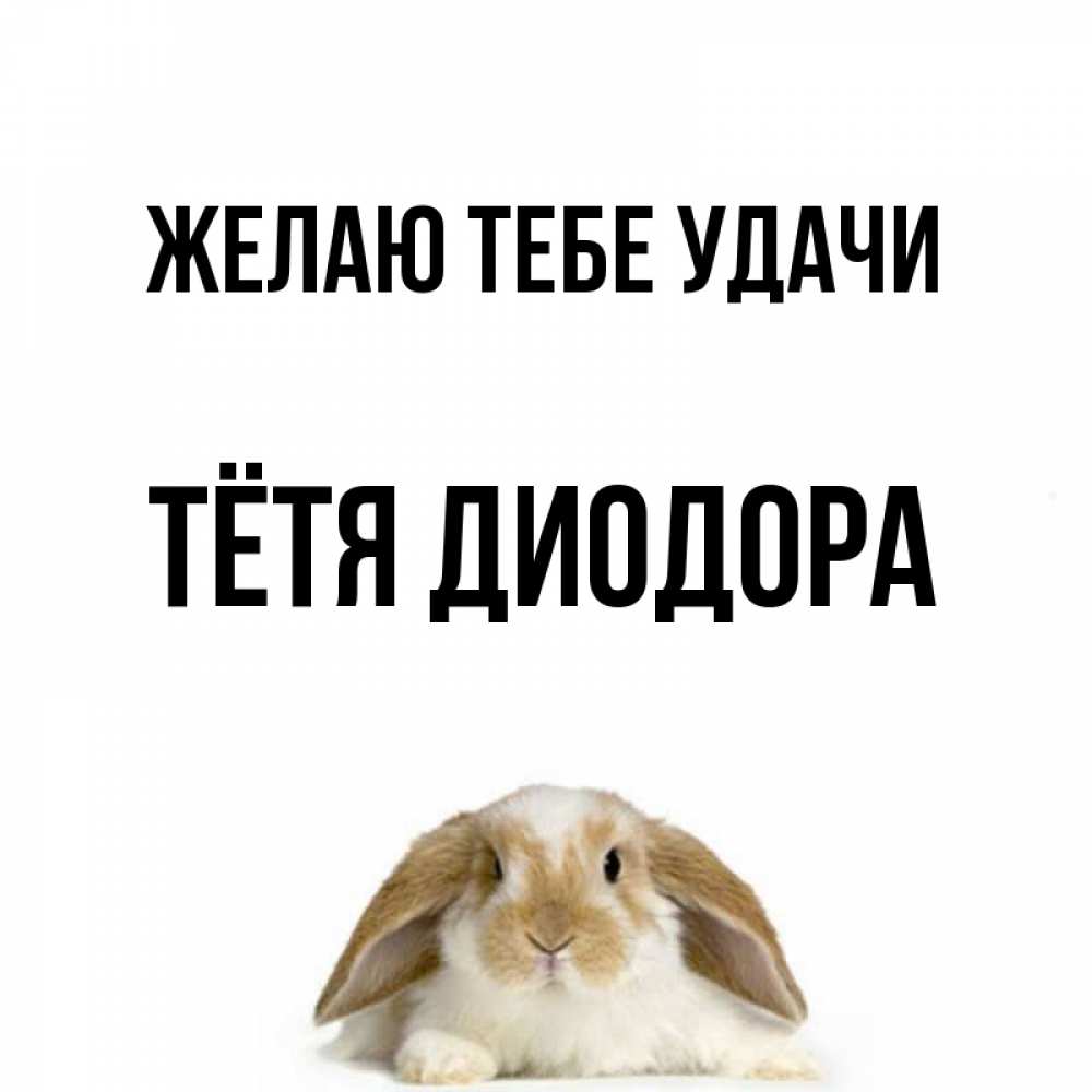 Открытка на каждый день с именем, Тётя-Диодора Желаю тебе удачи открытки с произвольным текстом который можно вставить в открытку и создать ее самостоятельно бесплатно онлайн Прикольная открытка с пожеланием онлайн скачать бесплатно 