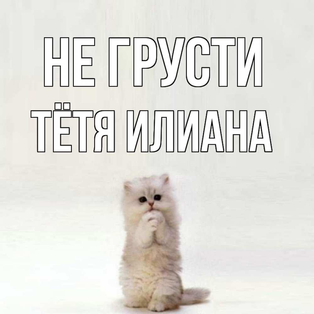 Открытка на каждый день с именем, Тётя-Илиана Не грусти грустный кот Прикольная открытка с пожеланием онлайн скачать бесплатно 