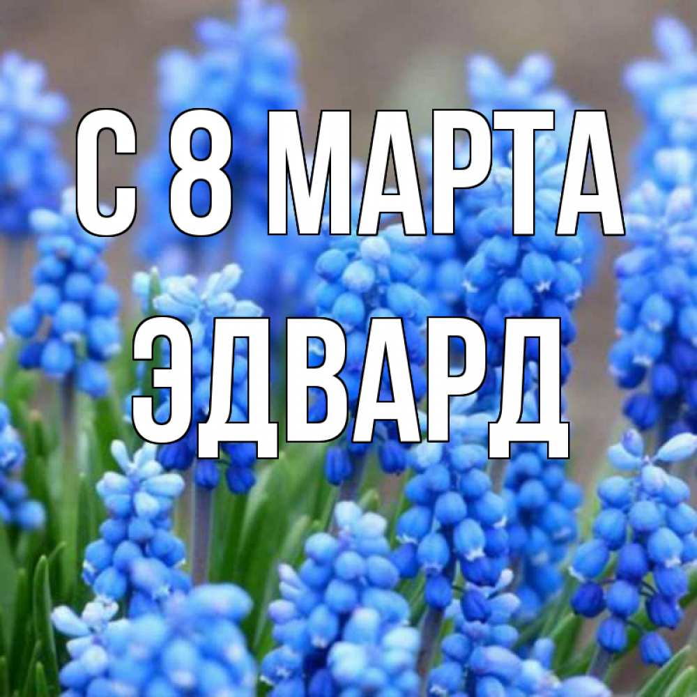 Открытка на каждый день с именем, Эдвард С 8 марта Поздравительная открытка для женщин с цветами на праздничную дату Прикольная открытка с пожеланием онлайн скачать бесплатно 
