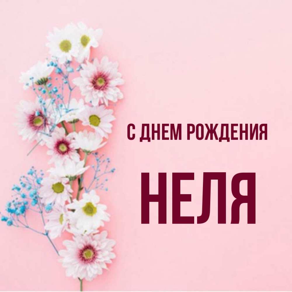 Нэля с днем рождения картинки