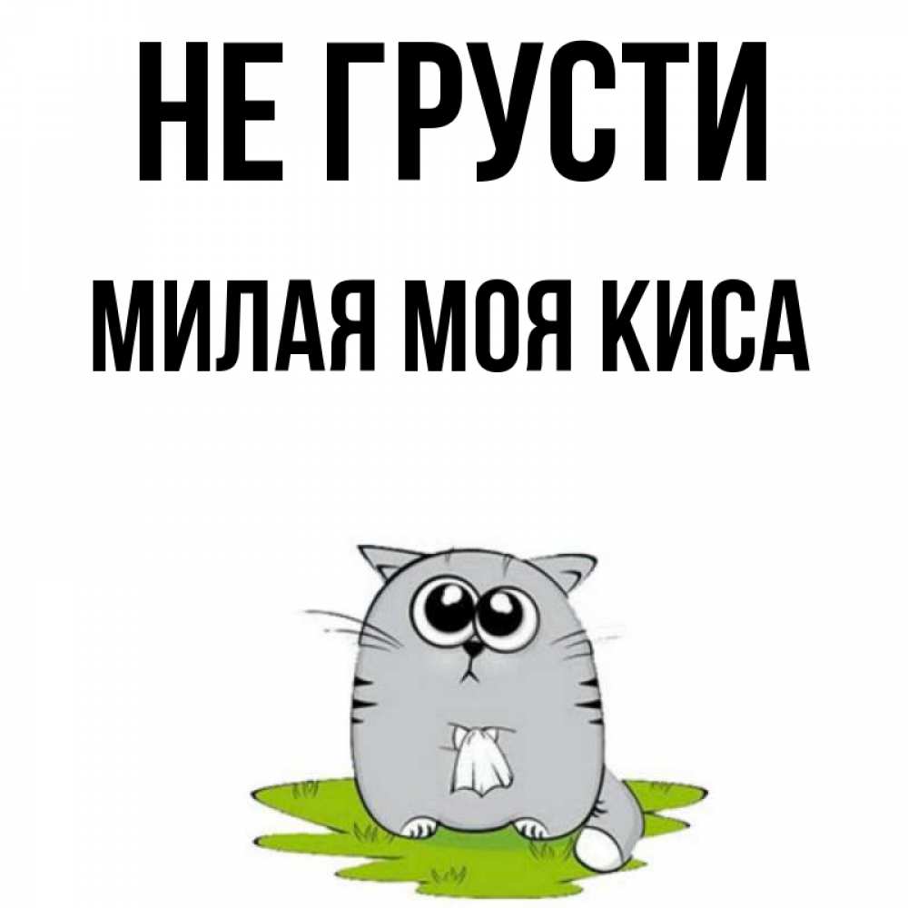 Моя киса картинки