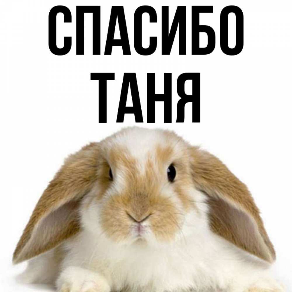 Толя полное имя. Спасибо Таня. Спасибо Танюшка открытки. Спасибо Тоня. Спасибо Таня картинки.