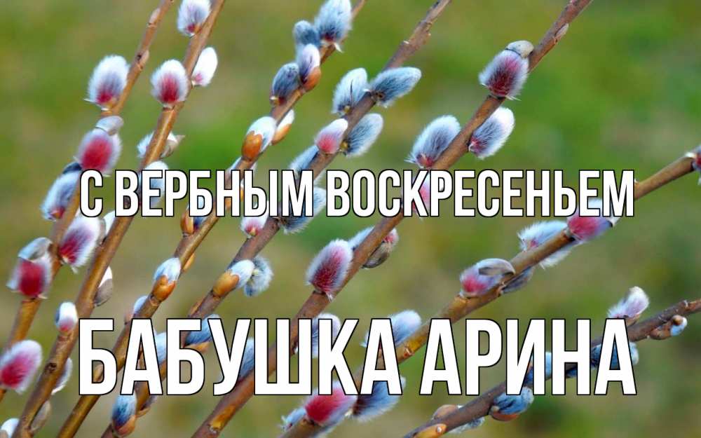 Открытка на каждый день с именем, Бабушка-Арина С вербным воскресеньем верба Прикольная открытка с пожеланием онлайн скачать бесплатно 