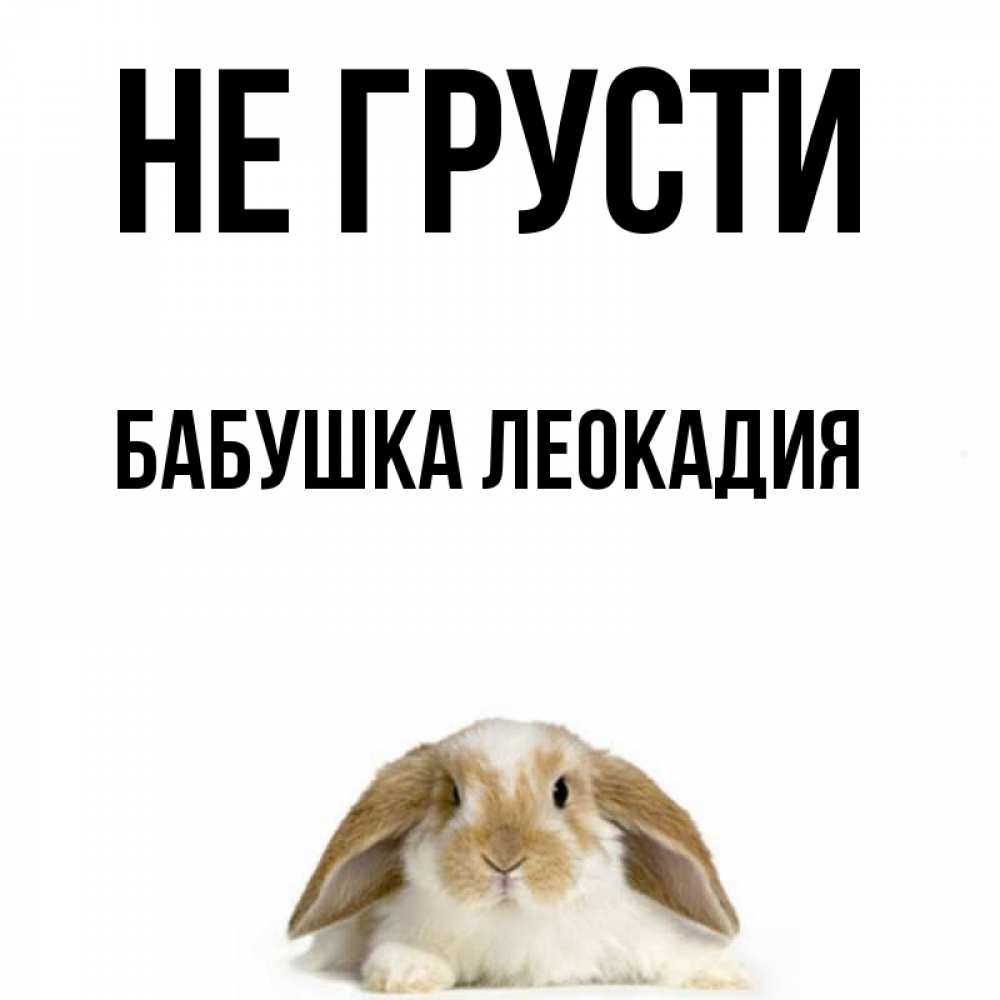 Открытка на каждый день с именем, Бабушка-Леокадия Не грусти коричнево белый заяц с большими ушками Прикольная открытка с пожеланием онлайн скачать бесплатно 