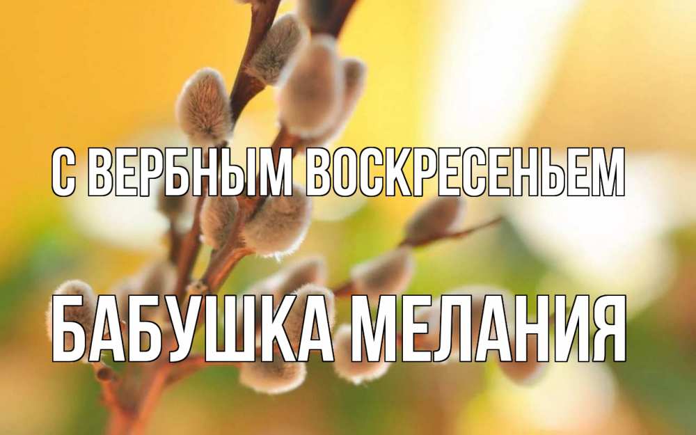 Открытка на каждый день с именем, Бабушка-Мелания С вербным воскресеньем верба Прикольная открытка с пожеланием онлайн скачать бесплатно 