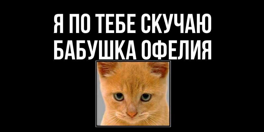 Открытка на каждый день с именем, Бабушка-Офелия Я по тебе скучаю открытки рыжий котенок скучает по тебе Прикольная открытка с пожеланием онлайн скачать бесплатно 