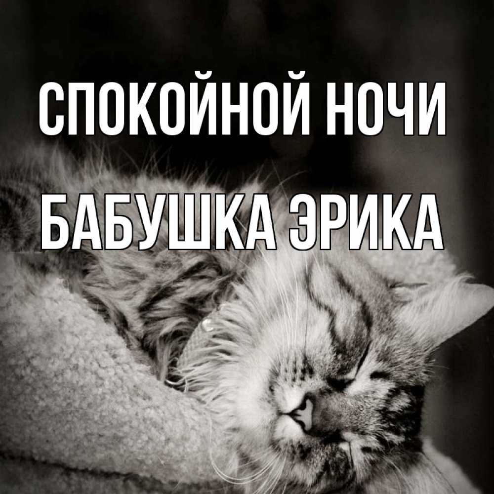 Открытка на каждый день с именем, Бабушка-Эрика Спокойной ночи котярик пушистый Прикольная открытка с пожеланием онлайн скачать бесплатно 