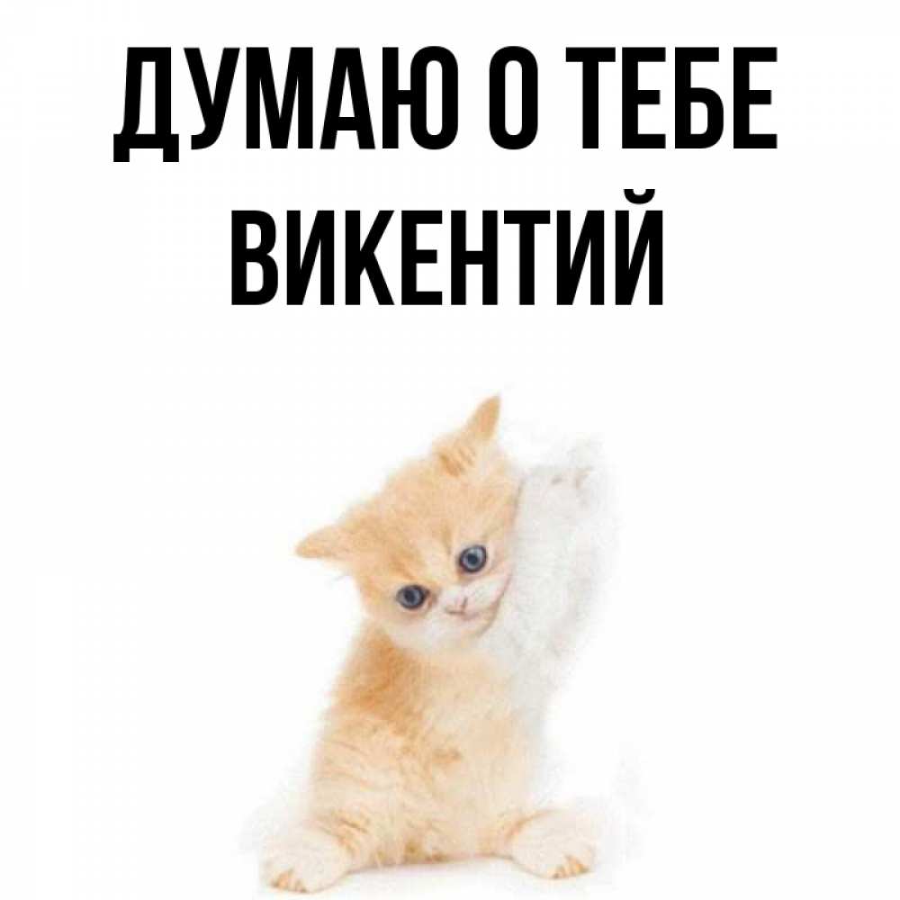 Открытка на каждый день с именем, Викентий Думаю о тебе зверушки и милота Прикольная открытка с пожеланием онлайн скачать бесплатно 