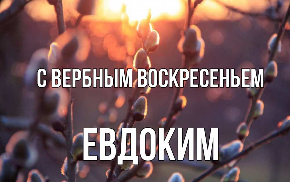 Открытка на каждый день с именем, Евдоким С вербным воскресеньем верба Прикольная открытка с пожеланием онлайн скачать бесплатно 