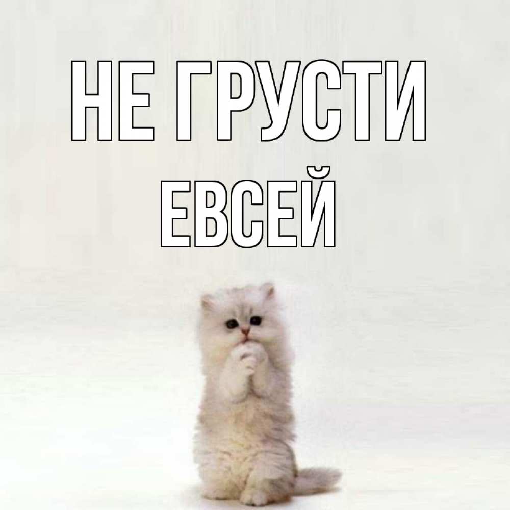 Открытка на каждый день с именем, Евсей Не грусти грустный кот Прикольная открытка с пожеланием онлайн скачать бесплатно 