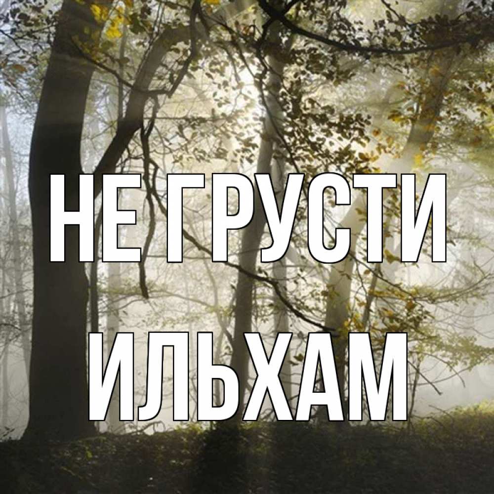 Открытка на каждый день с именем, Ильхам Не грусти лес и свет Прикольная открытка с пожеланием онлайн скачать бесплатно 
