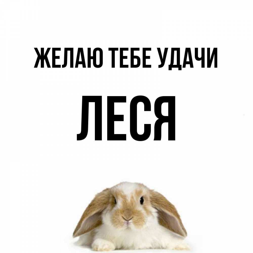 Открытка на каждый день с именем, Леся Желаю тебе удачи открытки с произвольным текстом который можно вставить в открытку и создать ее самостоятельно бесплатно онлайн Прикольная открытка с пожеланием онлайн скачать бесплатно 