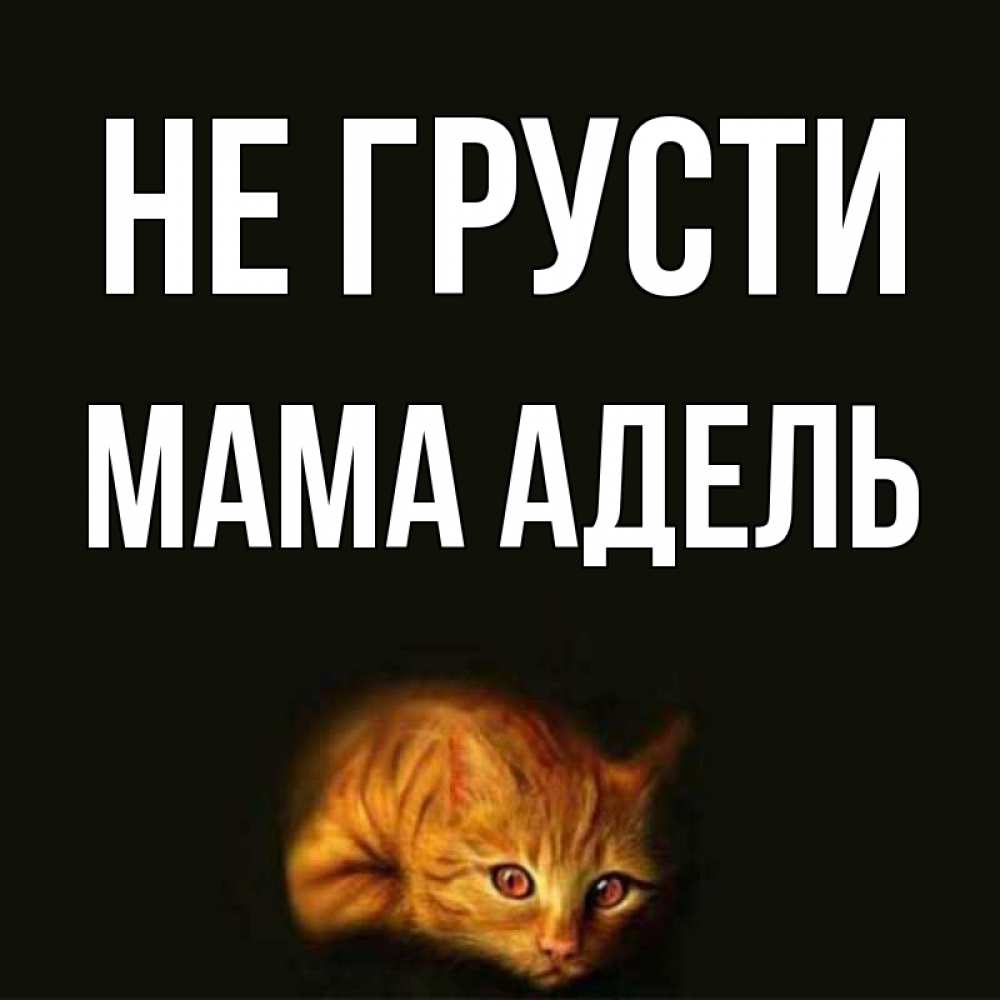 Открытка на каждый день с именем, Мама-Адель Не грусти лежащий кот в темноте Прикольная открытка с пожеланием онлайн скачать бесплатно 