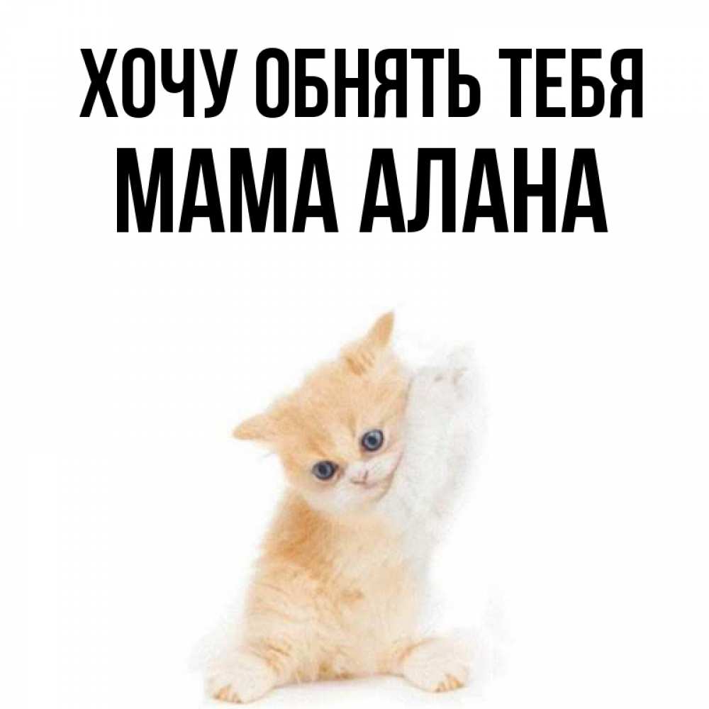 Открытка на каждый день с именем, Мама-Алана Хочу обнять тебя я хочу очень скорее обнимаешек Прикольная открытка с пожеланием онлайн скачать бесплатно 