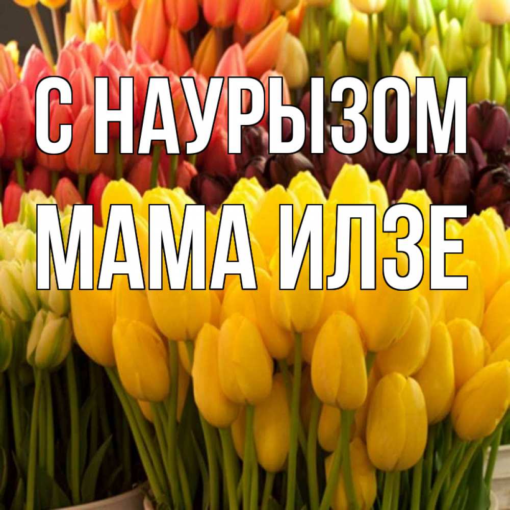 Открытка на каждый день с именем, Мама-Илзе С наурызом цветы Прикольная открытка с пожеланием онлайн скачать бесплатно 