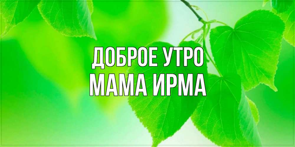 Открытка на каждый день с именем, Мама-Ирма Доброе утро доброе утро с березовыми листьями Прикольная открытка с пожеланием онлайн скачать бесплатно 