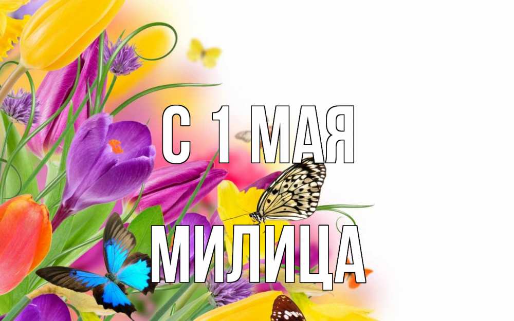 Открытка на каждый день с именем, Милица С 1 мая С 1 мая Прикольная открытка с пожеланием онлайн скачать бесплатно 