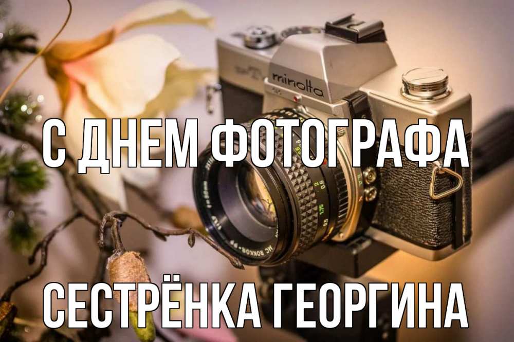 Открытка на каждый день с именем, Сестрёнка-Георгина С днем фотографа с днем фотографа 1 Прикольная открытка с пожеланием онлайн скачать бесплатно 