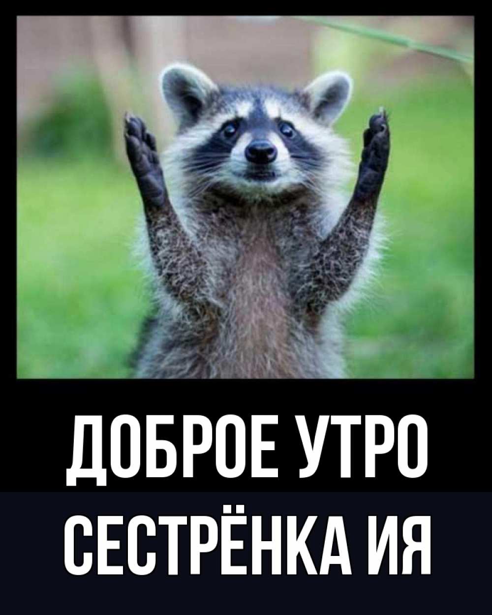 Открытка на каждый день с именем, Сестрёнка-Ия Доброе утро хорошее настроение утречком Прикольная открытка с пожеланием онлайн скачать бесплатно 