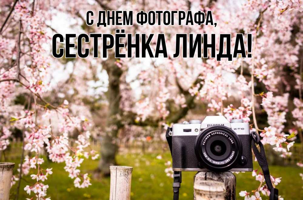 Открытка на каждый день с именем, Сестрёнка-Линда С днем фотографа сирень с днем фотографа, фотоаппарат Прикольная открытка с пожеланием онлайн скачать бесплатно 