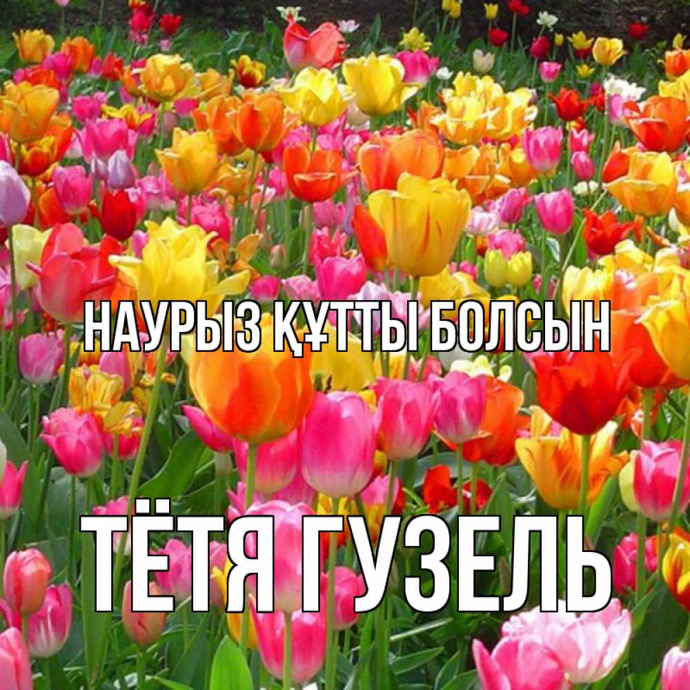 Открытка на каждый день с именем, Тётя-Гузель Наурыз құтты болсын на наурыз  ура ура Прикольная открытка с пожеланием онлайн скачать бесплатно 