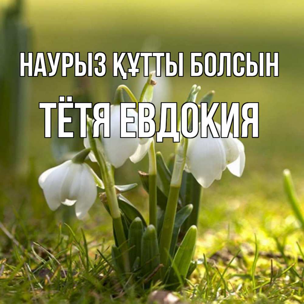 Открытка на каждый день с именем, Тётя-Евдокия Наурыз құтты болсын ранние цветы 2 Прикольная открытка с пожеланием онлайн скачать бесплатно 