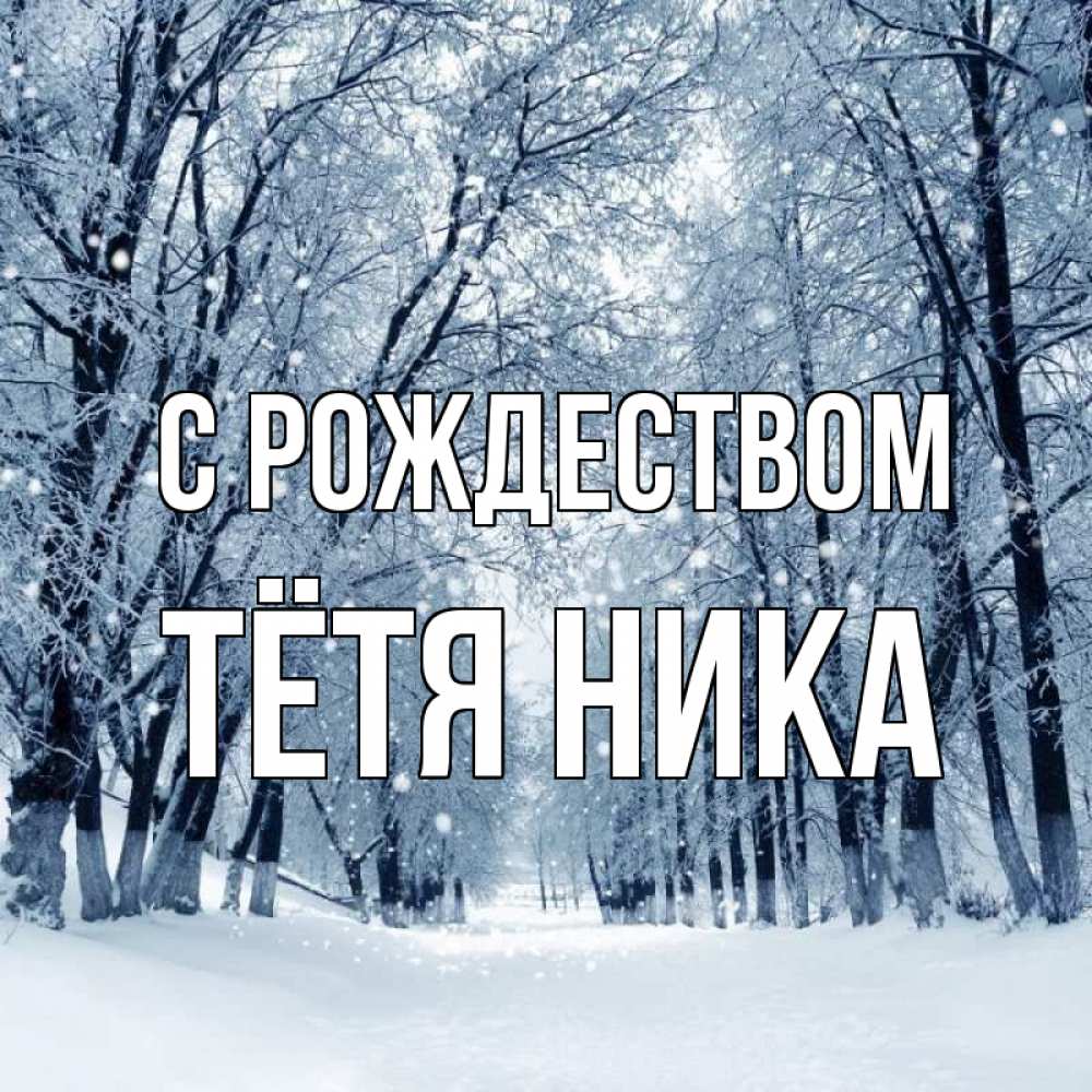 Открытка на каждый день с именем, Тётя-Ника С рождеством снег, лес, парк Прикольная открытка с пожеланием онлайн скачать бесплатно 