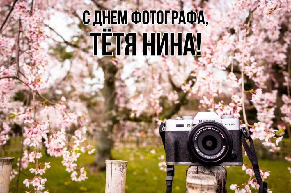 Открытка на каждый день с именем, Тётя-Нина С днем фотографа сирень с днем фотографа, фотоаппарат Прикольная открытка с пожеланием онлайн скачать бесплатно 