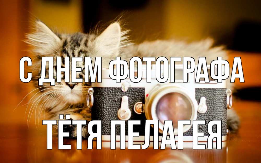 Открытка на каждый день с именем, Тётя-Пелагея С днем фотографа с днем фотографа Прикольная открытка с пожеланием онлайн скачать бесплатно 
