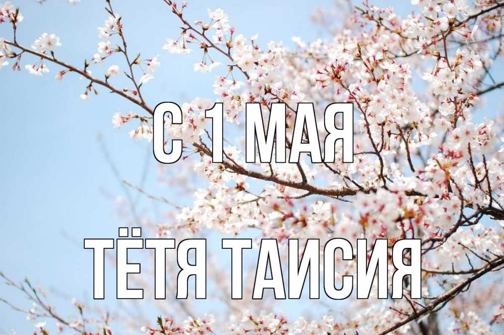 Открытка на каждый день с именем, Тётя-Таисия С 1 мая С 1 мая Прикольная открытка с пожеланием онлайн скачать бесплатно 