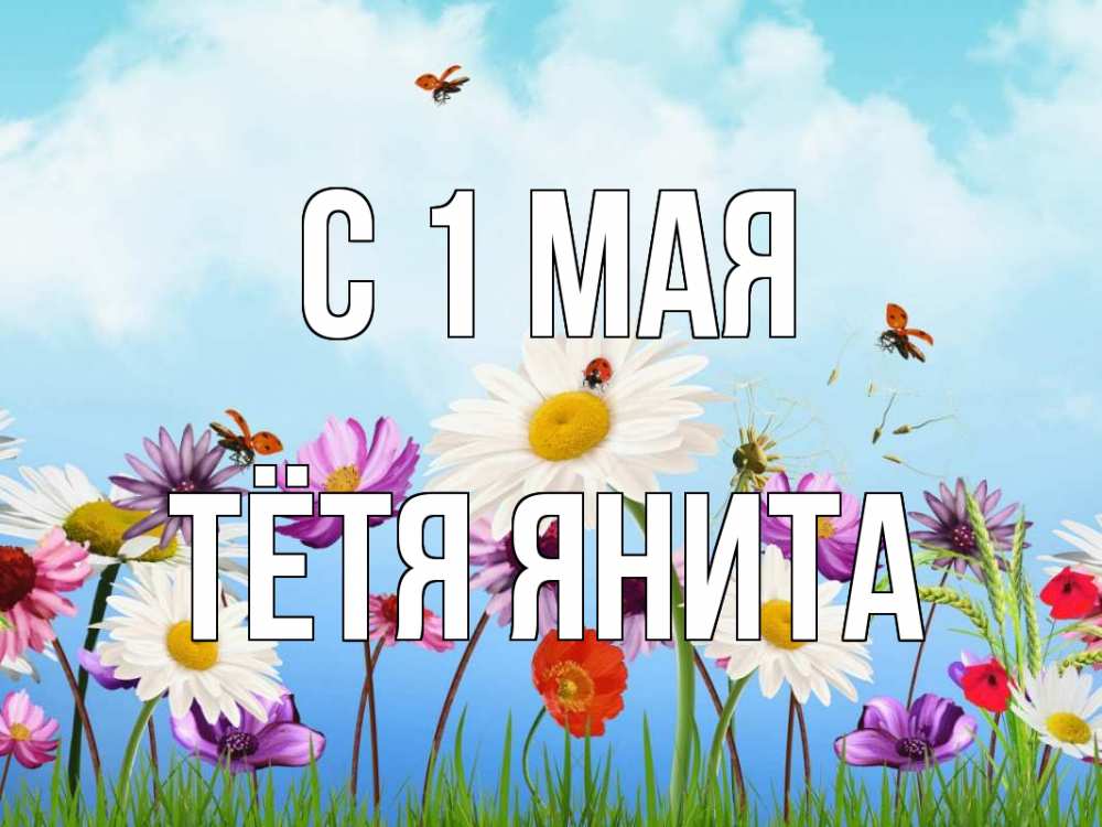Открытка на каждый день с именем, Тётя-Янита С 1 мая С 1 мая Прикольная открытка с пожеланием онлайн скачать бесплатно 