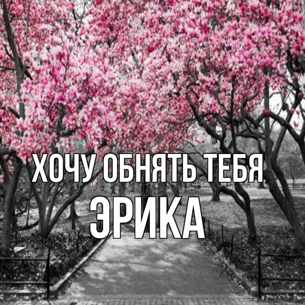 Открытка на каждый день с именем, Эрика Хочу обнять тебя обработанное фото Прикольная открытка с пожеланием онлайн скачать бесплатно 