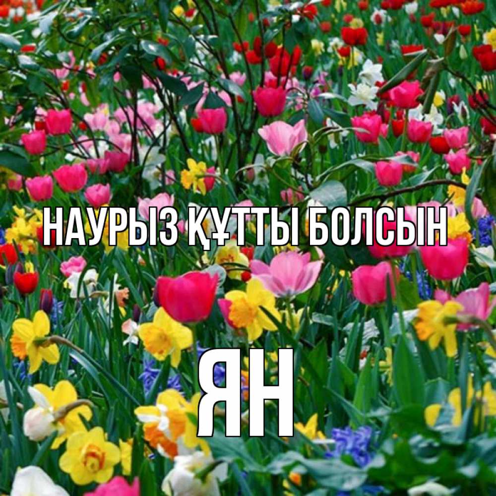 Открытка на каждый день с именем, Ян Наурыз құтты болсын с наурызом поздравления для женщины Прикольная открытка с пожеланием онлайн скачать бесплатно 