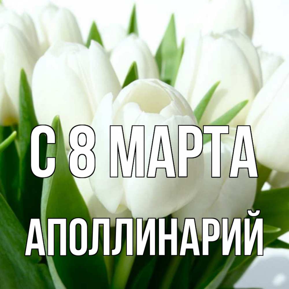 Открытка на каждый день с именем, Аполлинарий С 8 МАРТА цветы Прикольная открытка с пожеланием онлайн скачать бесплатно 