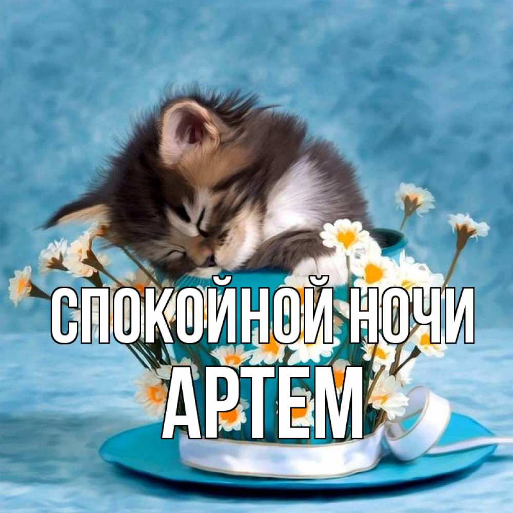 Открытка на каждый день с именем, Артем Спокойной ночи котенок спит в кружке с блюдцем Прикольная открытка с пожеланием онлайн скачать бесплатно 