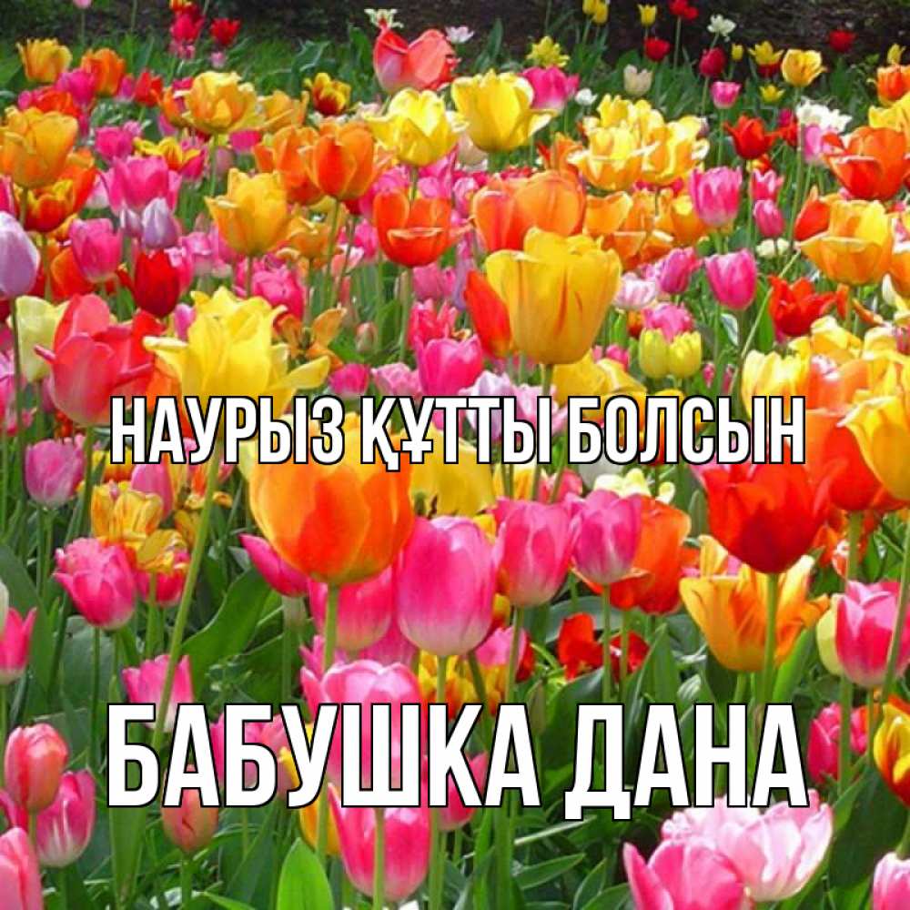 Открытка на каждый день с именем, Бабушка-Дана Наурыз құтты болсын на наурыз  ура ура Прикольная открытка с пожеланием онлайн скачать бесплатно 