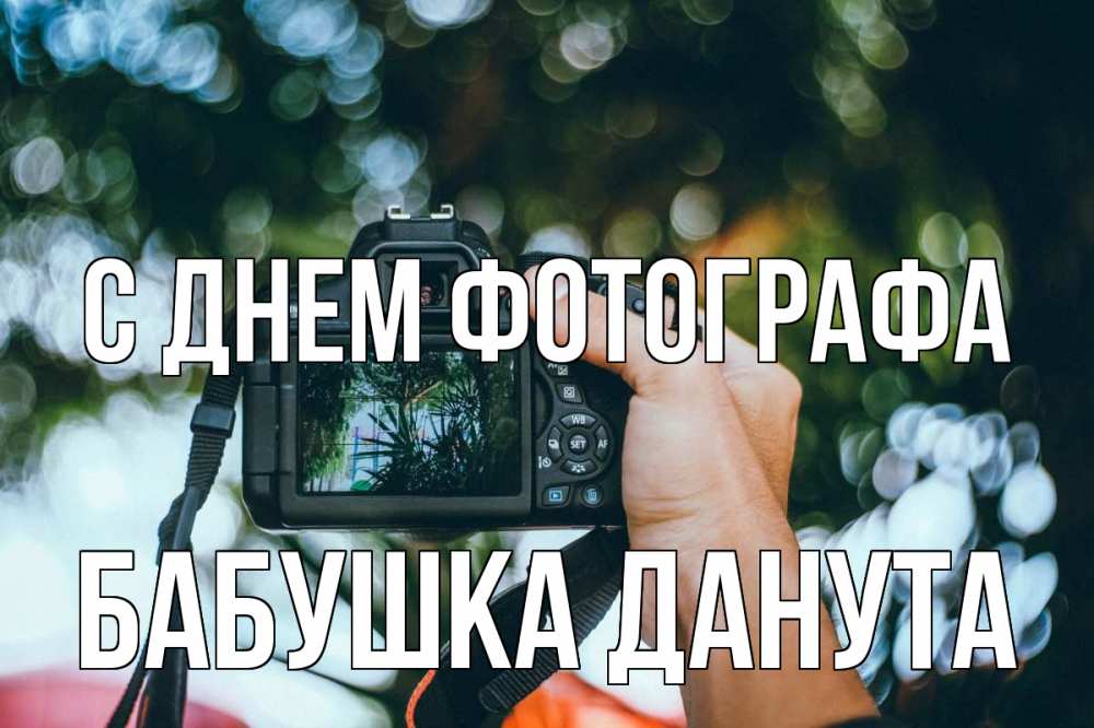 Открытка на каждый день с именем, Бабушка-Данута С днем фотографа с днем фотографа Прикольная открытка с пожеланием онлайн скачать бесплатно 