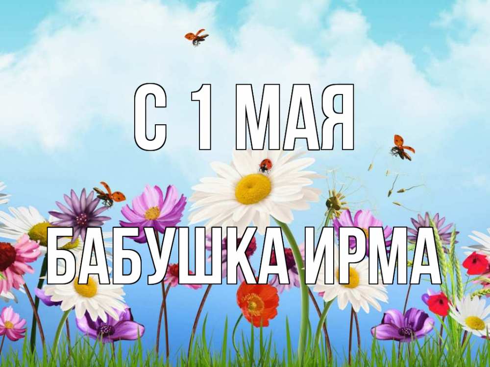 Открытка на каждый день с именем, Бабушка-Ирма С 1 мая С 1 мая Прикольная открытка с пожеланием онлайн скачать бесплатно 