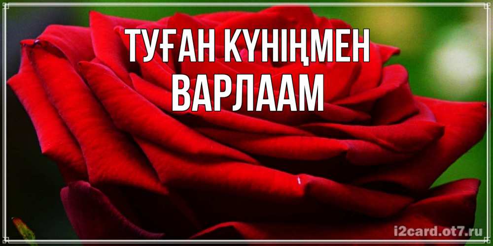 Открытка на каждый день с именем, Варлаам Туған күніңмен розочка очень красивая Прикольная открытка с пожеланием онлайн скачать бесплатно 