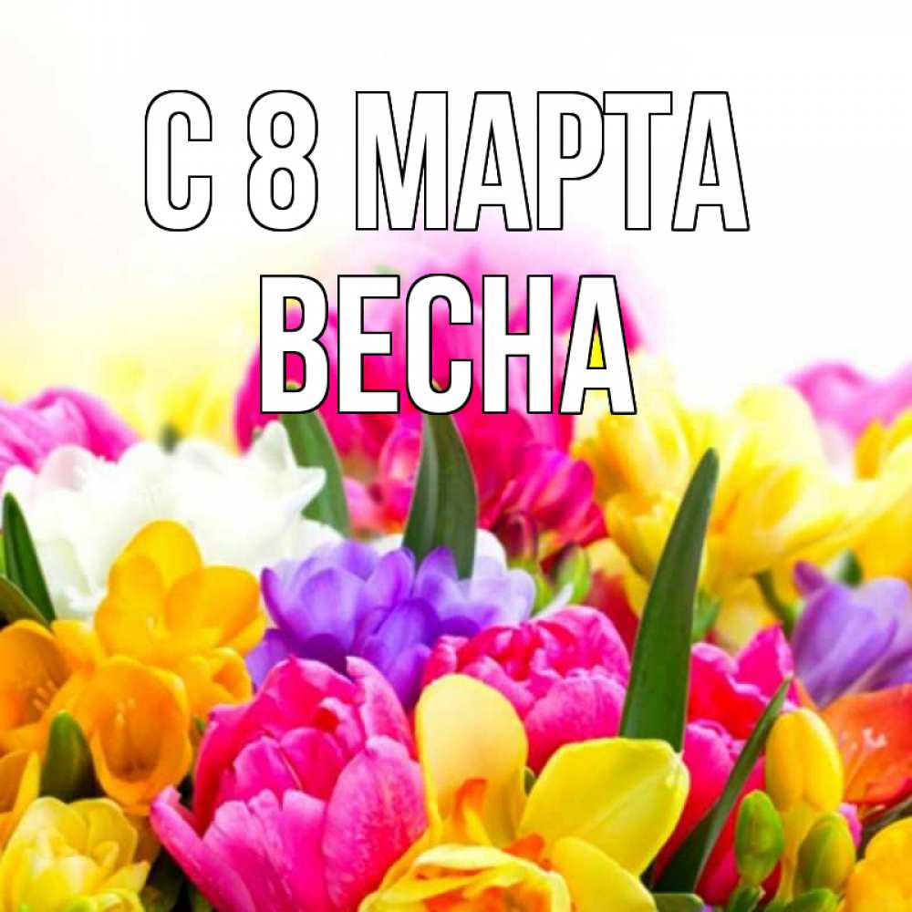 Открытка на каждый день с именем, Весна С 8 МАРТА тюльпаны Прикольная открытка с пожеланием онлайн скачать бесплатно 