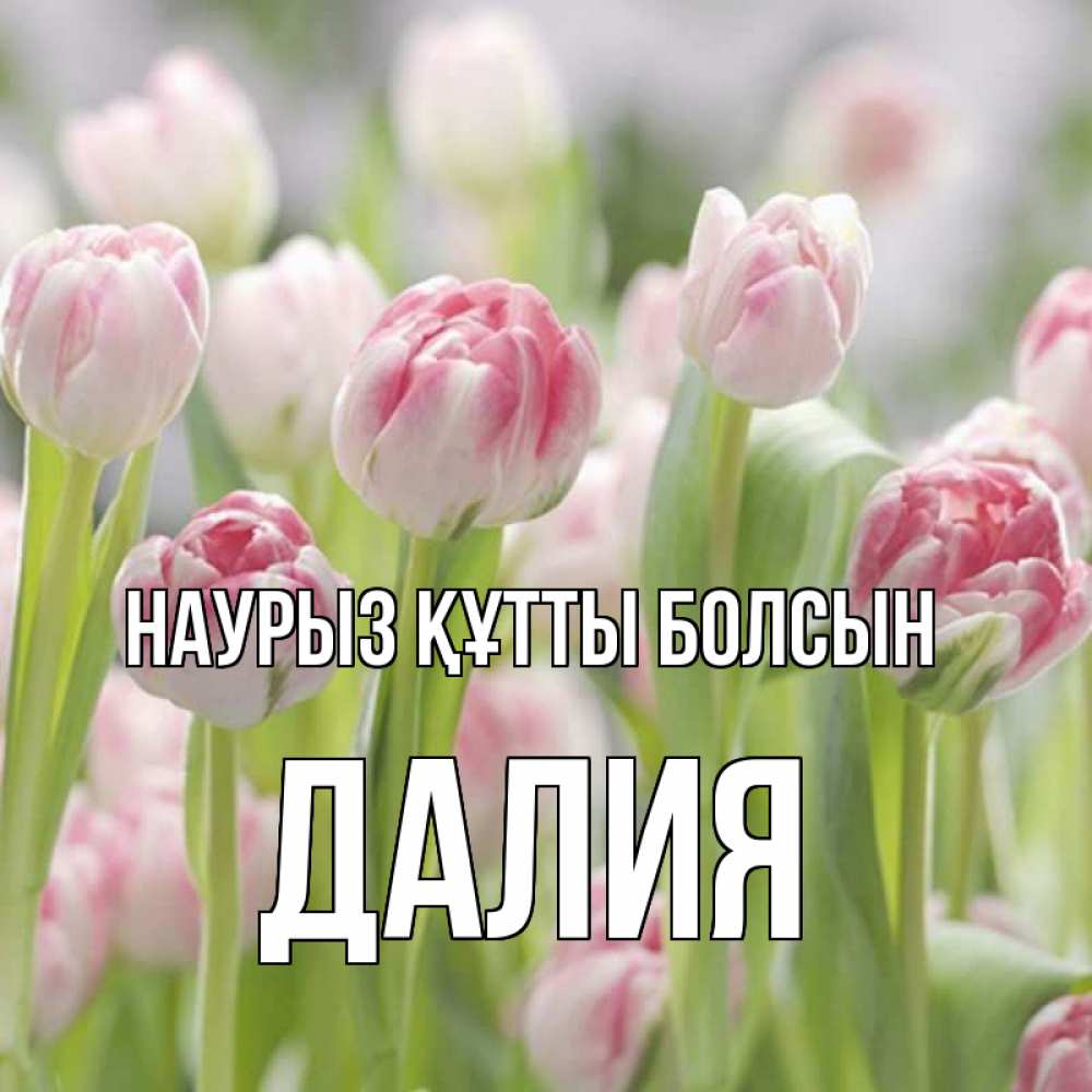 Открытка на каждый день с именем, Далия Наурыз құтты болсын цветы Прикольная открытка с пожеланием онлайн скачать бесплатно 