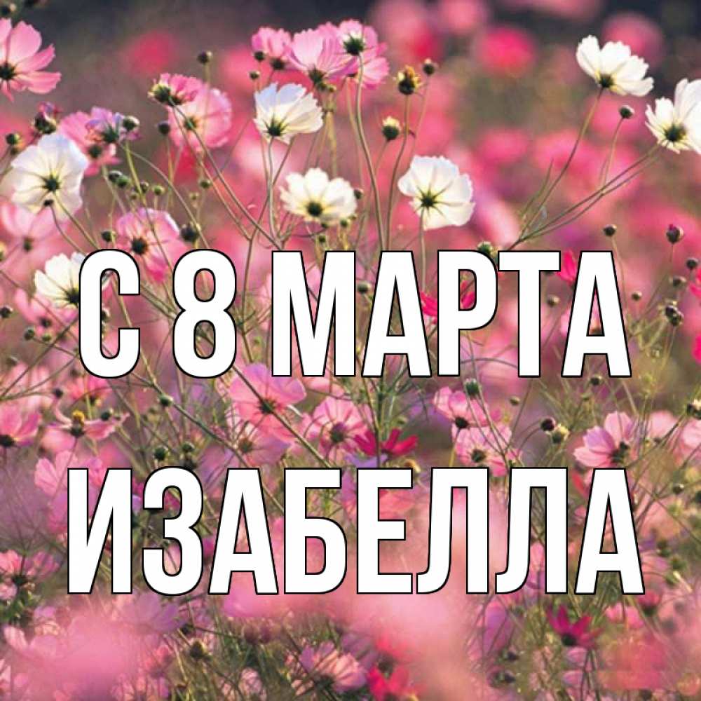 Открытка на каждый день с именем, Изабелла С 8 МАРТА красиво 1 Прикольная открытка с пожеланием онлайн скачать бесплатно 