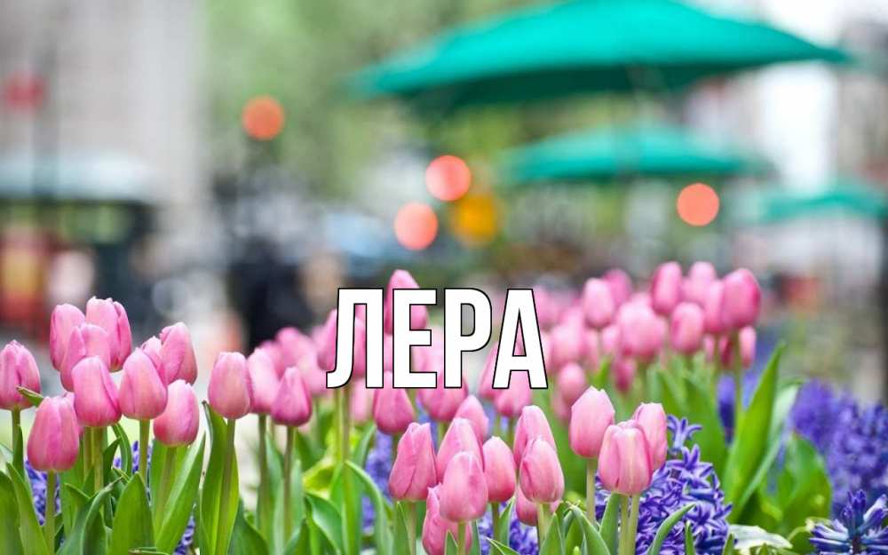 Открытка на каждый день с именем, Лера Главная С 1 мая Прикольная открытка с пожеланием онлайн скачать бесплатно 