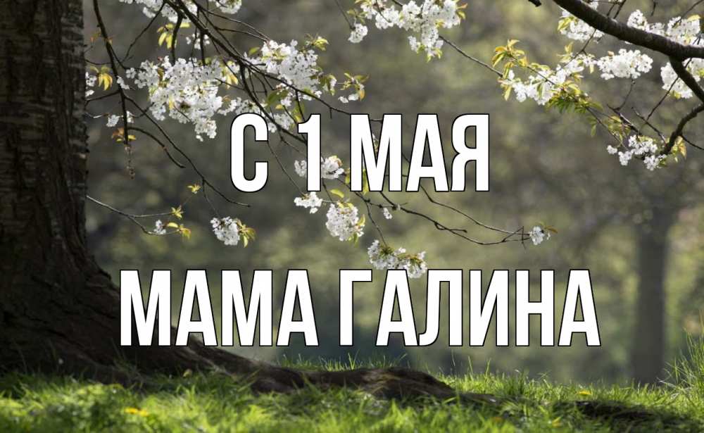 Открытка на каждый день с именем, Мама-Галина С 1 мая С 1 мая Прикольная открытка с пожеланием онлайн скачать бесплатно 