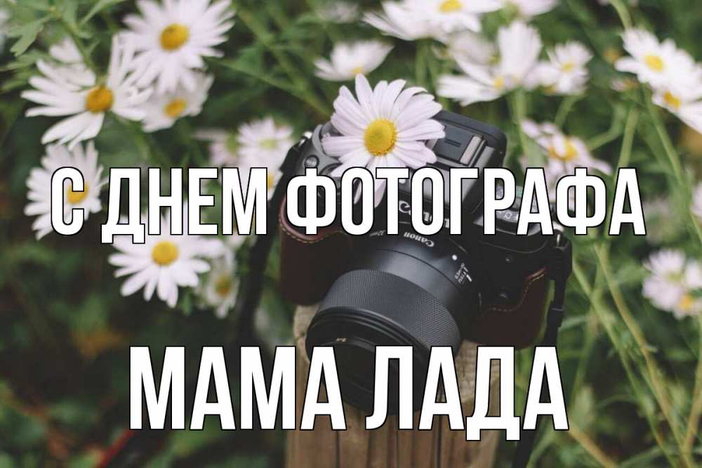 Открытка на каждый день с именем, Мама-Лада С днем фотографа с днем фотографа Прикольная открытка с пожеланием онлайн скачать бесплатно 